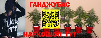 сатива Абинск