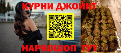 сатива Абинск