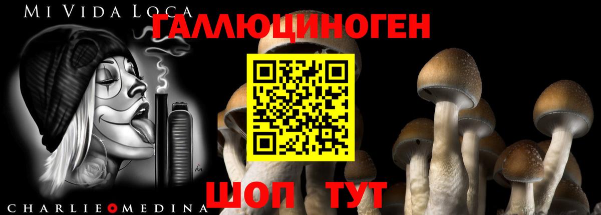 Псилоцибиновые грибы GOLDEN TEACHER  Вход с VPN  Балабаново 